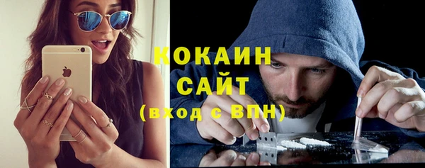 соль ск Алексин